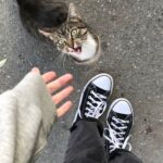 Unisex Branded High Top Canvas Sneakers – Side View