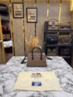 Coach Rowan Satchel Hand Bag Classic C Canvas With Dust Bag & Card (Apricot) – Premium Designer Satchel Bag for Women. - Image 3