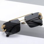 Black tinted lens eyewear with gold accents