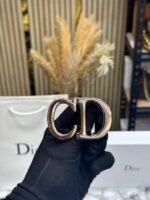 Dior Belt Combo with Carry Bag Image