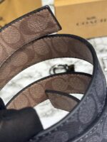 Two Buckle Coach Belt Set Image