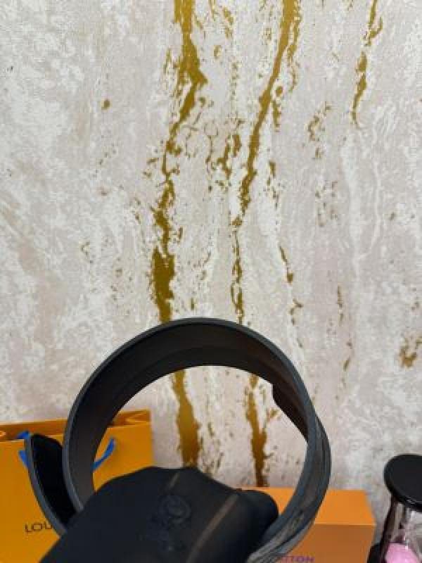 Louis Vuitton Monogram Logo Belt Image