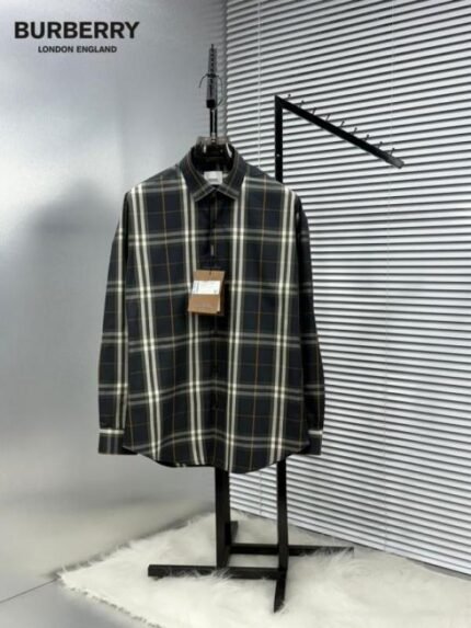 Buy Burberry Checks Premium Store Article Shirt With Original Box Online in India - Style 4 - Bootery
