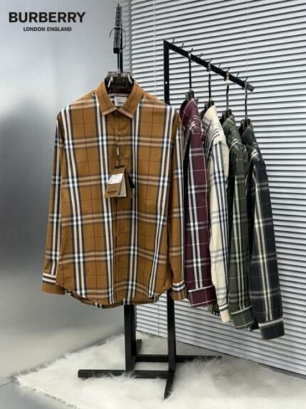 Buy Burberry Checks Premium Store Article Shirt With Original Box Online in India - Style 4 - Bootery - Image 2