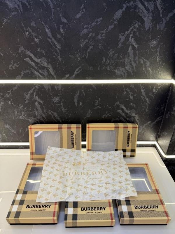 Burberry Checks Half Sleeve Store Article Shirt With Original Box - Best Price Online - Style 3 - Bootery - Image 3