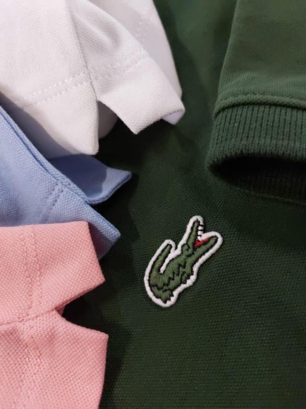 Lacoste White Polo Premium Collar Neck T-shirt F3460-wh Price in India - Buy at Bootery - Image 7