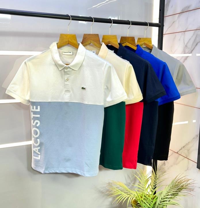 Lacoste Grey Embroidery Logo Collar Neck Premium Polo T-shirt F2793-gy - Best Price Online - Bootery - Image 2