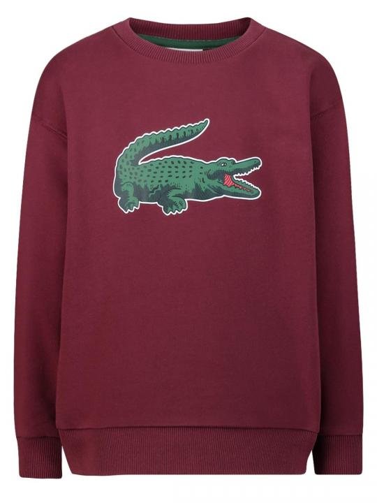 Lacoste  Premium Sweatshirt Store Article (Red) - Image 6
