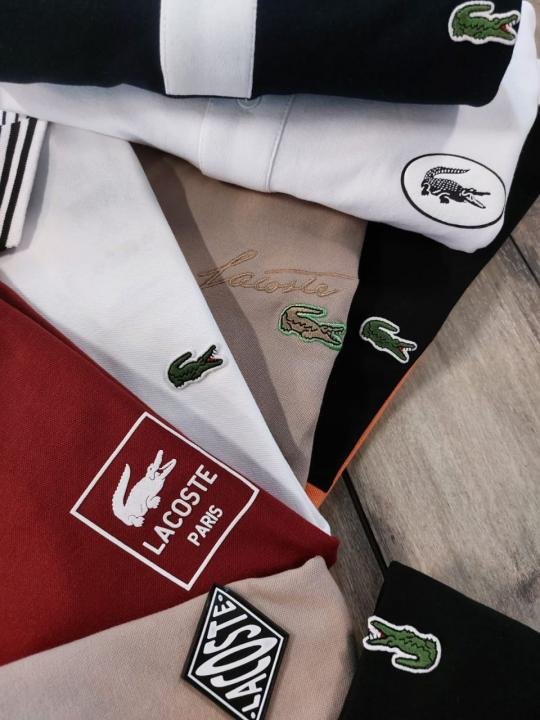 Lacoste Beige Embroidery Logo Polo Neck Full Sleeves Premium Collar T-shirt F3235-be2 Price in India - Buy at Bootery - Image 7