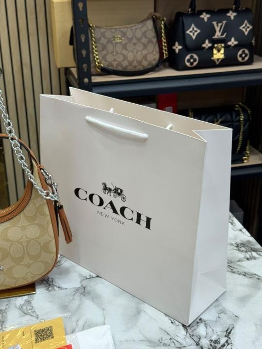 Coach Signature Canvas Crescent Bag With Box And Dust Bag Including Carry Bag Price in India - Style 2 - Buy at Bootery - Image 5