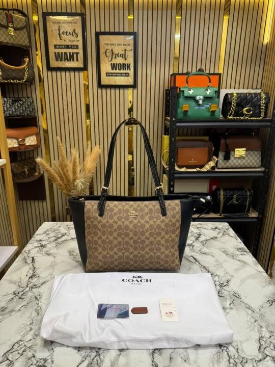 Coach City Signature Canvas Tote Bag With Dust Bag - Image 2