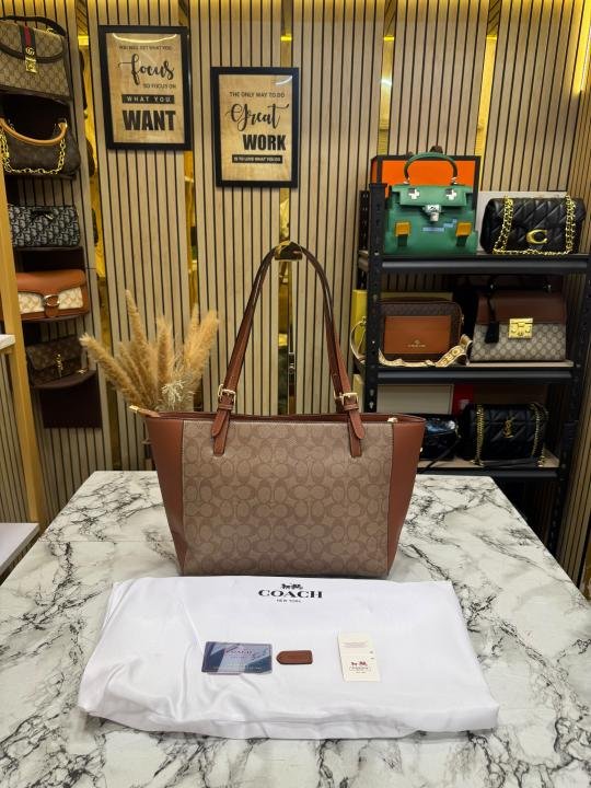 Coach City Signature Canvas Tote Bag With Dust Bag - Image 3
