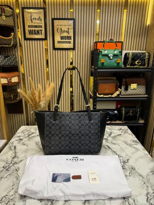 Coach City Signature Canvas Tote Bag With Dust Bag - Image 4