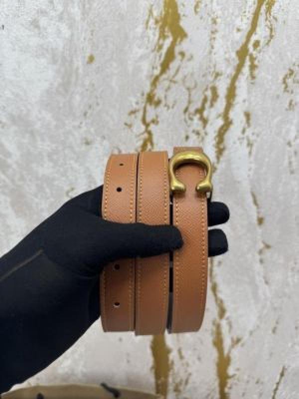 Coach Coac.h Signature Belt With Box And Dustbag Including Carrybag - Image 4