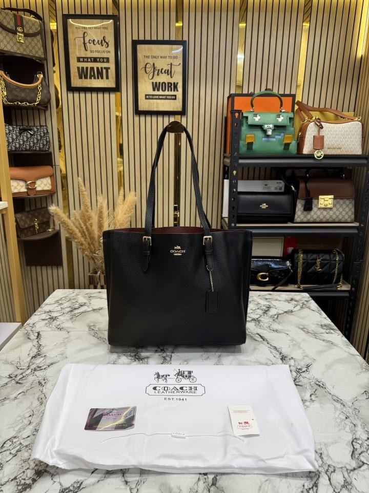 Coach Mollie Tote Bag With Dust Bag