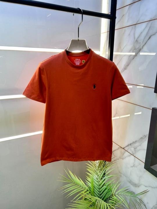 Ralph Lauren Ralph Lauren Brown Round Neck Premium Polo T-shirt F3597-br