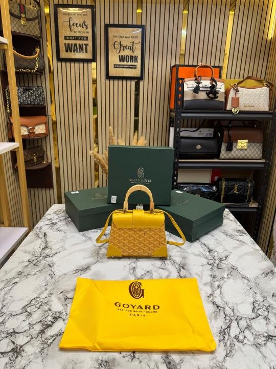 Goyar D Saigon Mini Structured Crossbody Bag With Top Handle With Box And Dust Bag - Image 4