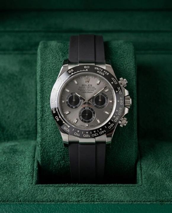 Rolex Oyster Perpetual Daytona Silver Grey Watch for Men - Best Price Online - Bootery