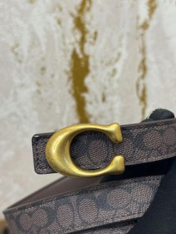 Coach Signature Belt With Box And Dustbag Including Carrybag - Image 6