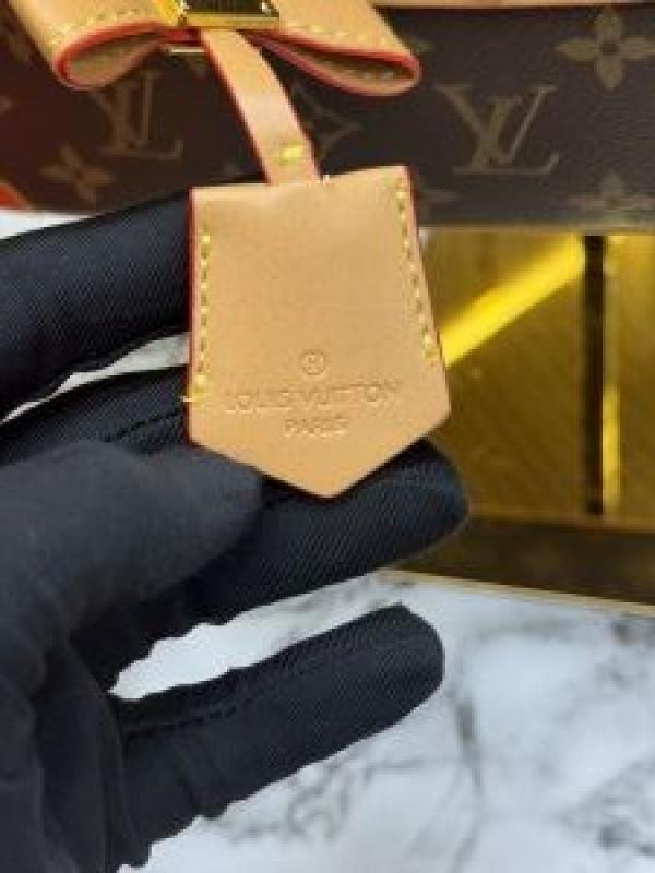 Buy Louis Vuitton Loui S Vuitto N Speedy Mono Handbag With Double Og Box And Dust Bag Online in India - Bootery - Image 8