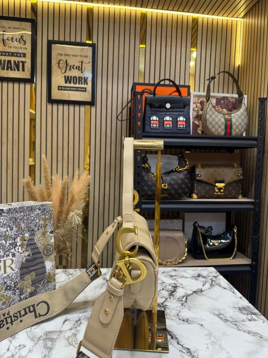 Christian Dior Saddle Premium Quality Shoulder Bag With Box And Dust Bag Price in India - Style 1 - Buy at Bootery - Image 5